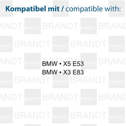 BRANDT AUTOMOTIVE Kennzeichenleuchten LED kompatibel mit Bmw X5 E53 1999-2006 X3 E83 2003-2010 Kennzeichenbeleuchtung