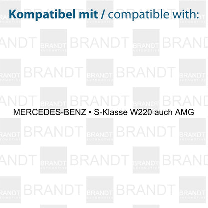 BRANDT AUTOMOTIVE Kennzeichenleuchten LED kompatibel mit Mercedes Benz W220 S-Klasse auch AMG S63 S55 S65 1999-2005 Kennzeichenbeleuchtung