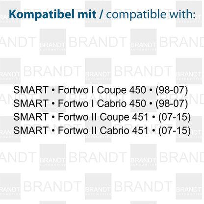 BRANDT AUTOMOTIVE Kennzeichenleuchten LED kompatibel mit Smart Fortwo I II 450 451 Coupe Cabrio 1998-2015 Kennzeichenbeleuchtung