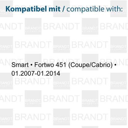BRANDT Seitenblinker Set LED Kotflügel Blinker + Kabel Schwarz passend für Smart Fortwo II 451 Coupe Cabrio 07-14 Blinkleuchten